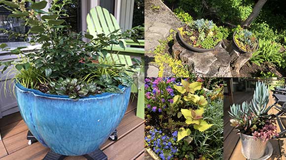Work Planter Designs