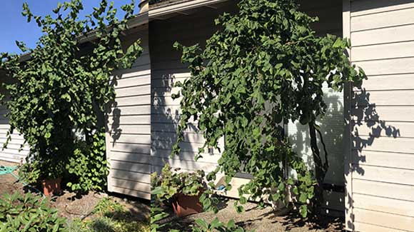 Work Pruning Properly